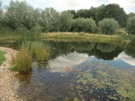 Rees : Bergswick, Wahrsmannshof, Außenanlage